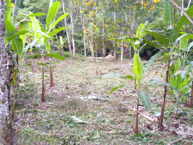 Sítio à venda Centro com 3500m² e 3 quartos por R$ 300.000 - img-20230419-wa0036.jpg