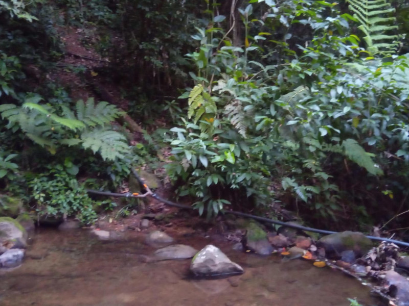 Sítio à venda Centro com 3500m² e 3 quartos por R$ 300.000 - img-20230419-wa0038.jpg