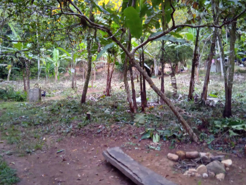 Sítio à venda Centro com 3500m² e 3 quartos por R$ 300.000 - img-20230419-wa0040.jpg