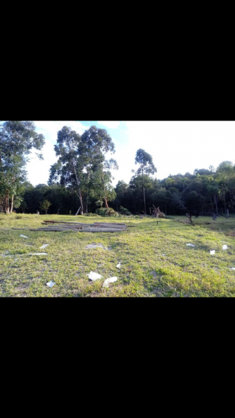 Terreno à venda belem velho com 160000m² e 1 quarto por R$ 55.000 - 1751057723-screenshot-2023-02-20-20-55-59.png