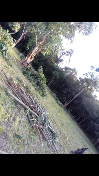 Terreno à venda belem velho com 160000m² e 1 quarto por R$ 55.000 - 486237493-screenshot-2023-02-20-20-56-03.png