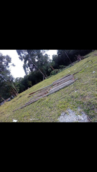 Terreno à venda belem velho com 160000m² e 1 quarto por R$ 55.000 - 711203491-screenshot-2023-02-20-20-54-29.png
