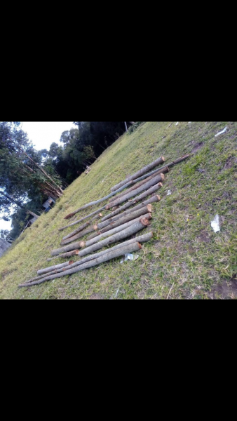 Terreno à venda belem velho com 160000m² e 1 quarto por R$ 55.000 - 829944559-screenshot-2023-02-20-20-56-07.png