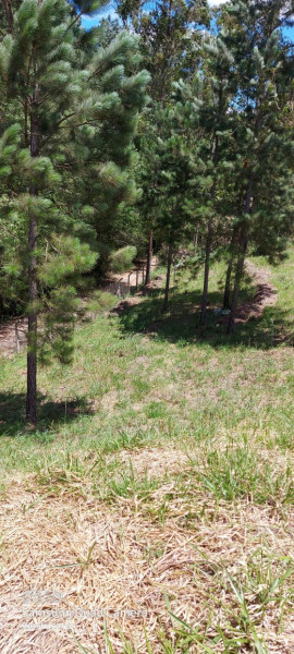 Terreno à venda Zona de Adensamento Restrito (ZAR) com 1624m² e 1 quarto por R$ 350.000 - 1292671488-img-20230401-wa0047.jpg