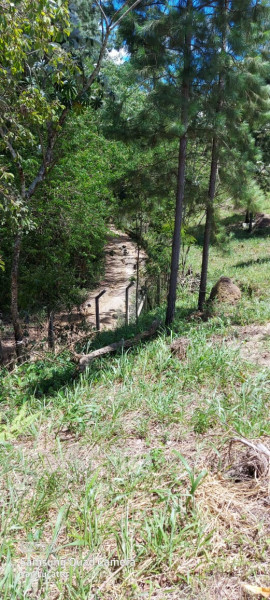 Terreno à venda Zona de Adensamento Restrito (ZAR) com 1624m² e 1 quarto por R$ 350.000 - 8709090-img-20230401-wa0041.jpg