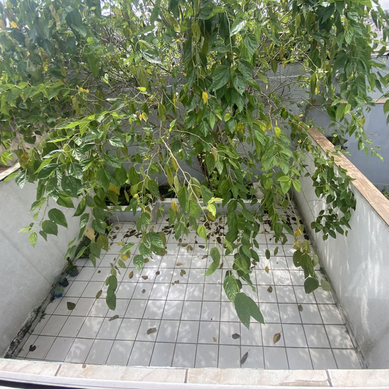 Casa à venda Jardim Vila Formosa com 125m² e 2 quartos por R$ 560.000 - 341809878-23.jpg