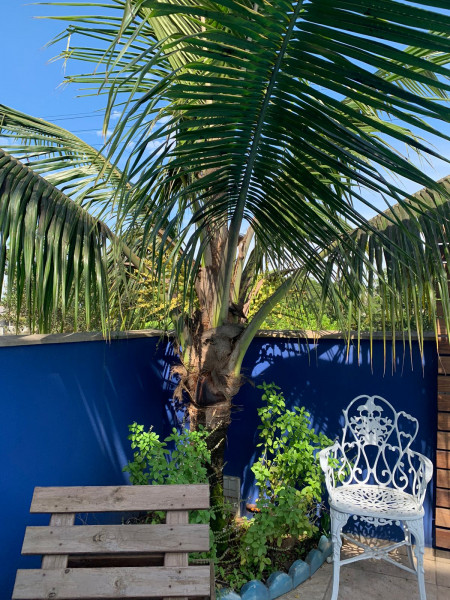 Apartamento à venda Praia do Ervino com 440m² e 9 quartos por R$ 1.802.000 - 575076193-whatsapp-image-2023-05-04-at-11.jpeg