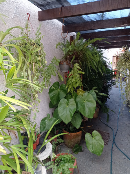 Casa à venda Jacarepaguá com 360m² e 4 quartos por R$ 1.590.000 - 1688574845-img-20230331-162208.jpg
