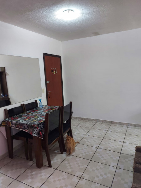 Apartamento à venda Jardim Soraia com 52m² e 5 quartos por R$ 220.000 - 539838785-img-20230507-wa0025.jpg