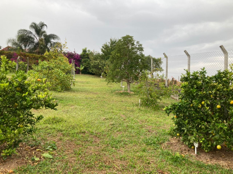 Chácara à venda Parque Rio Abaixo com 3000m² e 5 quartos por R$ 1.500.000 - 2025398114-photo-2021-05-23-12-03-63.jpg