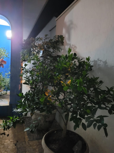 Casa à venda Centro com 360m² e 3 quartos por R$ 510.000 - 856037054-agp3cesm99oxamzyratr50rzvpwunsyigmltbw1xq-8-plaintext-638173729307716811.jpg