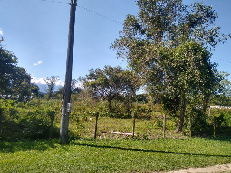 Terreno à venda Paraíso (Vila Inhomirim) com 4000m² e 1 quarto por R$ 100.000 - 901184283-345692775-133393063060922-1135607757014741826-n.jpg