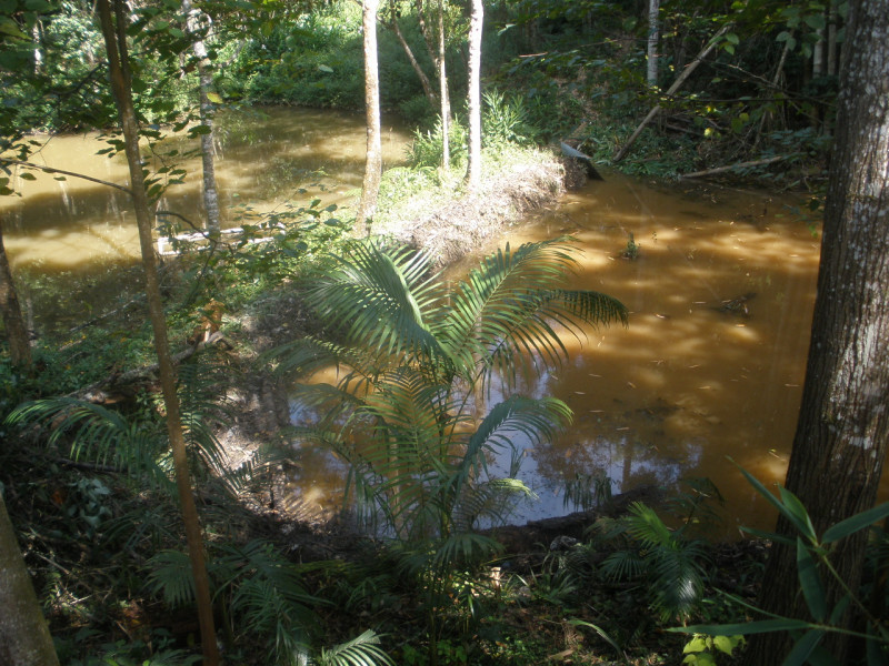 Chácara à venda Parque Florestal com 6000m² e 3 quartos por R$ 395.000 - 1386205870-7-p3010019.JPG