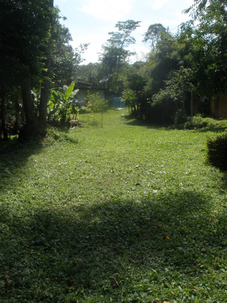 Chácara à venda Parque Florestal com 6000m² e 3 quartos por R$ 395.000 - 366611475-9-p3010021.JPG