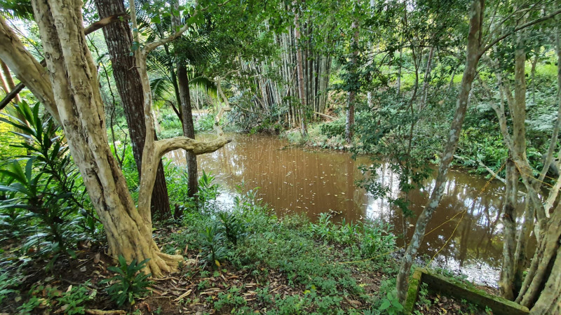 Chácara à venda Parque Florestal com 6000m² e 3 quartos por R$ 395.000 - 426943679-lago.jpeg
