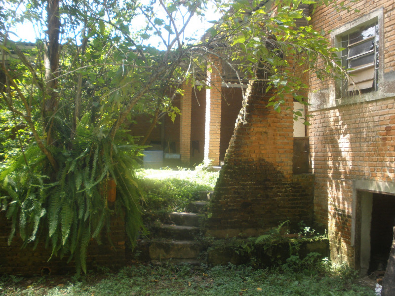 Chácara à venda Parque Florestal com 6000m² e 3 quartos por R$ 395.000 - 444946625-6-p3010018.JPG