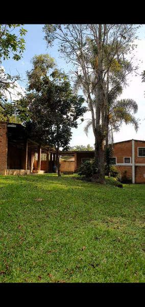 Chácara à venda Parque Florestal com 6000m² e 3 quartos por R$ 395.000 - 542443252-casa-2.jpeg