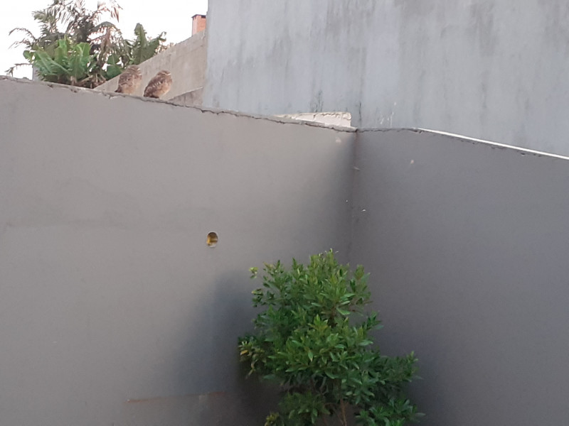 Casa de condomínio à venda Chácara do Remanso Gl Um com 250m² e 3 quartos por R$ 1.300.000 - 1670266185-20230501-173321.jpg