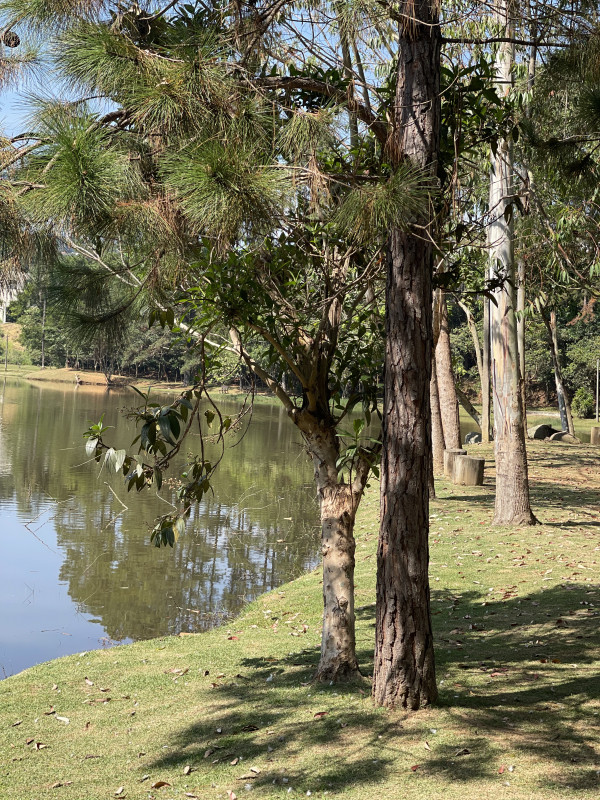Terreno à venda Quinta dos Angicos com 500m² e 1 quarto por R$ 350.000 - 1366722507-img-6139.jpeg