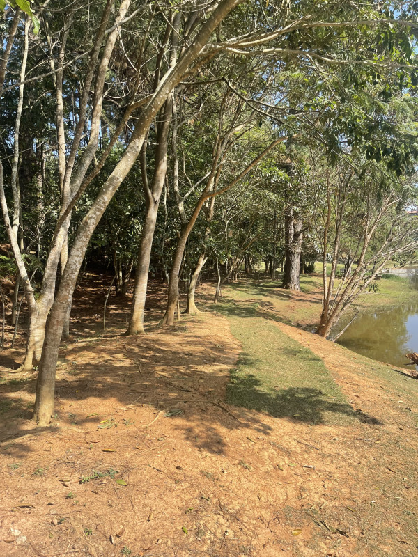 Terreno à venda Quinta dos Angicos com 500m² e 1 quarto por R$ 350.000 - 175227125-img-6122.jpeg