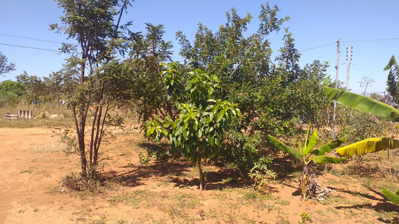 Casa de condomínio à venda Gama com 760m² e 1 quarto por R$ 170.000 - 108189799-whatsapp-image-2023-05-12-at-10.jpeg