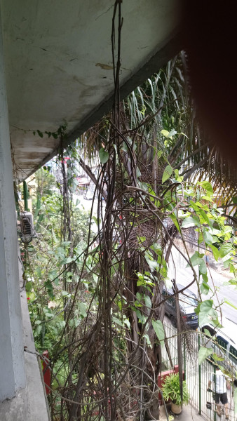 Apartamento à venda Vidigal com 69m² e 2 quartos por R$ 370.000 - 1765537615-7a374fb4-bc35-471a-916f-b5b4c1315547.jpeg