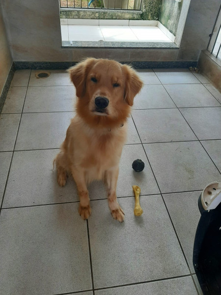 Casa à venda Capim Macio com 500m² e 6 quartos por R$ 820.000 - 1322081578-whatsapp-image-2023-05-31-at-19.jpeg