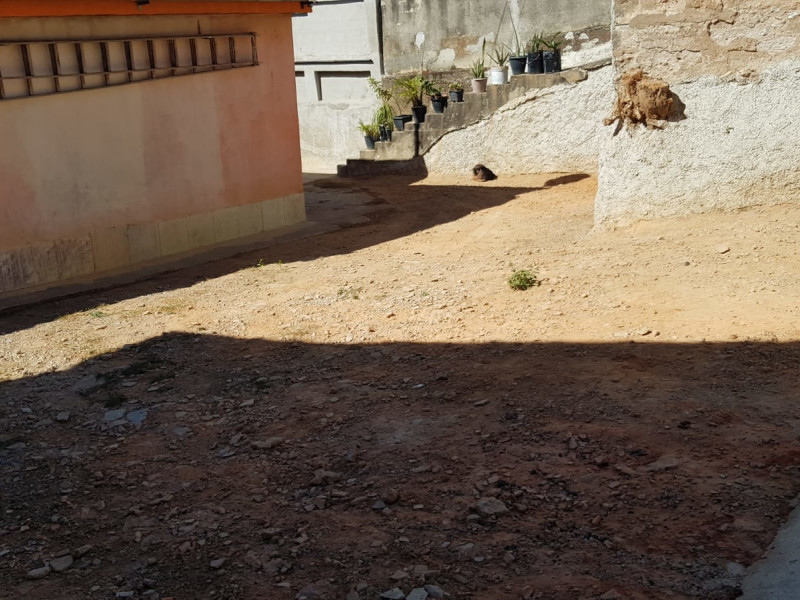 Casa à venda Califórnia com 360m² e 4 quartos por R$ 550.000 - whatsapp-image-2024-06-25-at-185107-4.jpeg