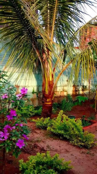 Casa à venda Vila Santa Terezinha com 65m² e 2 quartos por R$ 470.000 - 1429555703-img-20230111-wa0032.jpg