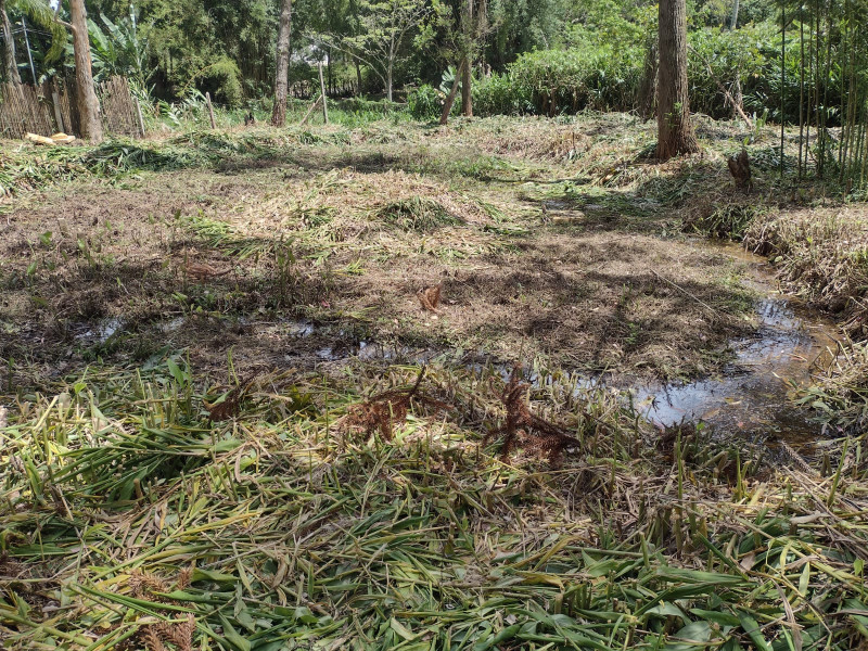 Terreno à venda mombaça com 2900m² e 1 quarto por R$ 199.000 - 1033241368-img-20230103-wa0045.jpg