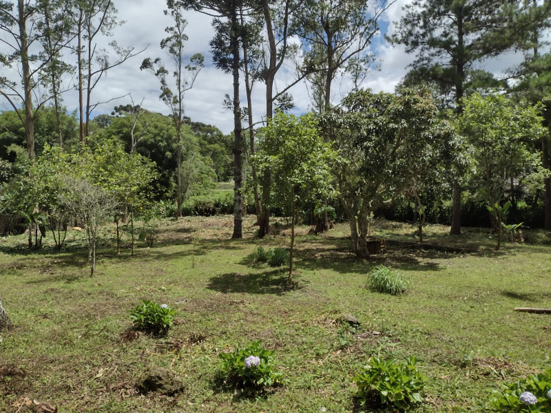Terreno à venda mombaça com 2900m² e 1 quarto por R$ 199.000 - 1170888838-img-20230103-wa0066.jpg