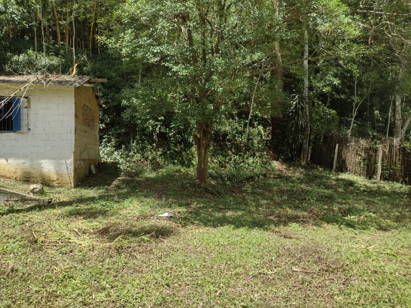 Terreno à venda mombaça com 2900m² e 1 quarto por R$ 199.000 - 1277562953-img-20230103-wa0060.jpg