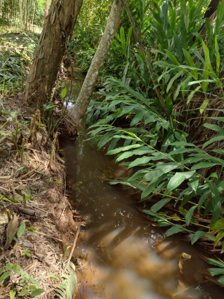 Terreno à venda mombaça com 2900m² e 1 quarto por R$ 199.000 - 1560432482-img-20230103-wa0052.jpg