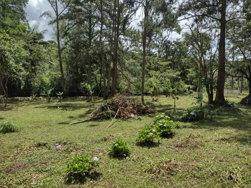 Terreno à venda mombaça com 2900m² e 1 quarto por R$ 199.000 - 1587844384-img-20230103-wa0065.jpg