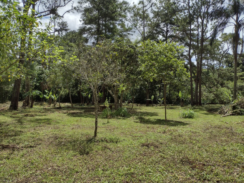 Terreno à venda mombaça com 2900m² e 1 quarto por R$ 199.000 - 1639451687-img-20230103-wa0062.jpg