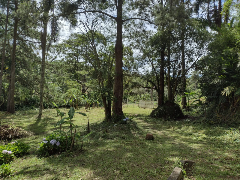 Terreno à venda mombaça com 2900m² e 1 quarto por R$ 199.000 - 323129470-img-20230103-wa0067.jpg