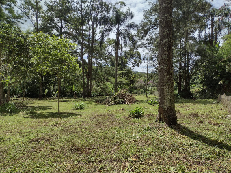 Terreno à venda mombaça com 2900m² e 1 quarto por R$ 199.000 - 769068104-img-20230103-wa0063.jpg