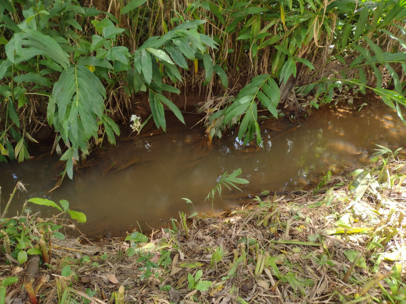 Terreno à venda mombaça com 2900m² e 1 quarto por R$ 199.000 - 987970917-img-20230103-wa0051.jpg