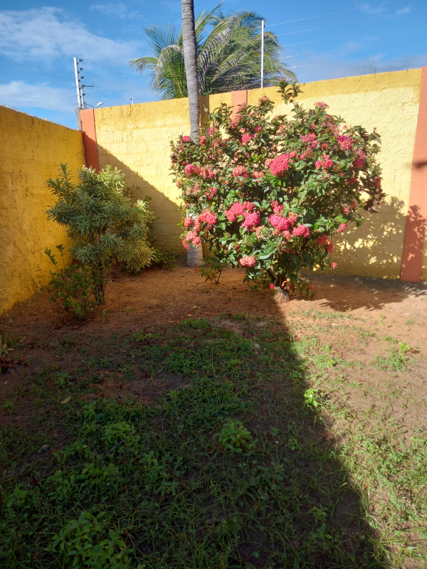 Casa à venda Centro com 2500m² e 4 quartos por R$ 550.000 - 1309530250-20220529-123111.jpg