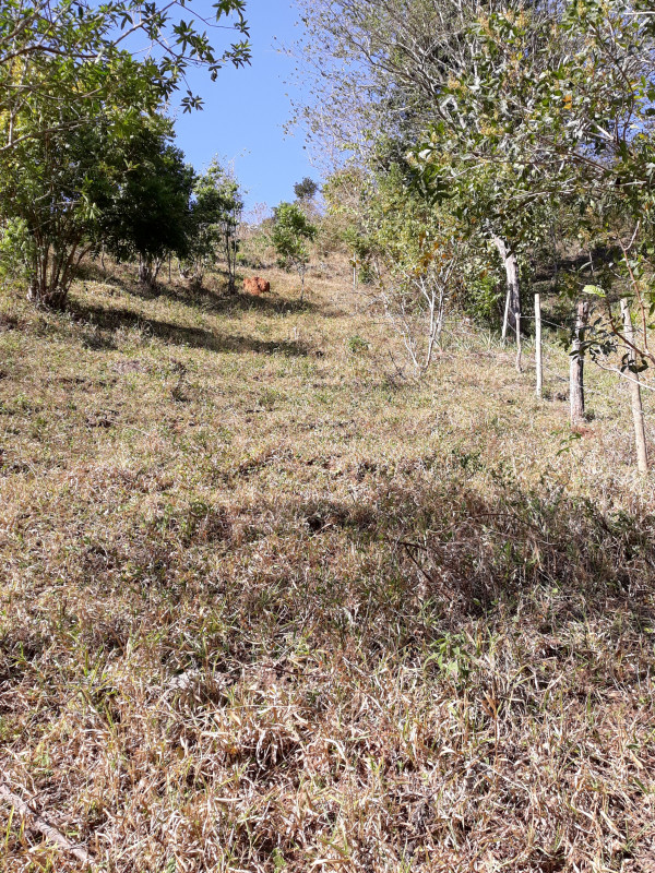 Sítio à venda CENTRO com 30000m² e 4 quartos por R$ 750.000 - 1002723288-20200815-152437.jpg