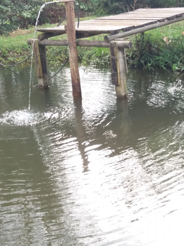 Sítio à venda CENTRO com 30000m² e 4 quartos por R$ 750.000 - 1115481385-20230408-161005.jpg