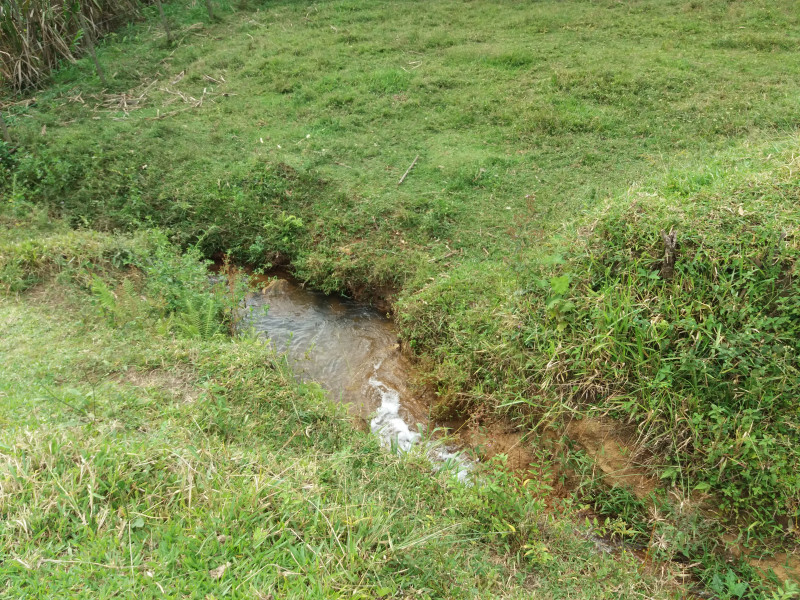 Sítio à venda CENTRO com 30000m² e 4 quartos por R$ 750.000 - 1237803983-20230408-161540.jpg