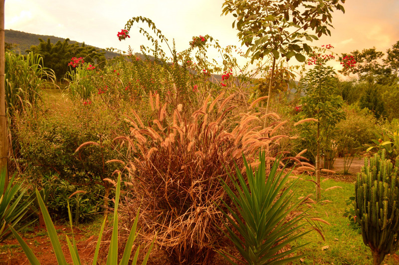 Sítio à venda CENTRO com 30000m² e 4 quartos por R$ 750.000 - 1463484948-dsc-0287.JPG