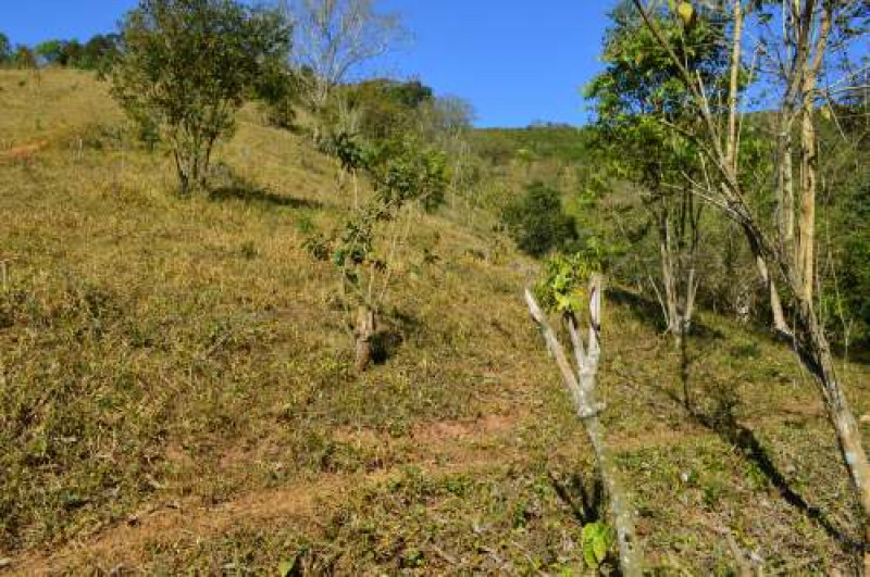 Sítio à venda CENTRO com 30000m² e 4 quartos por R$ 750.000 - 1471855936-dsc-0068.JPG