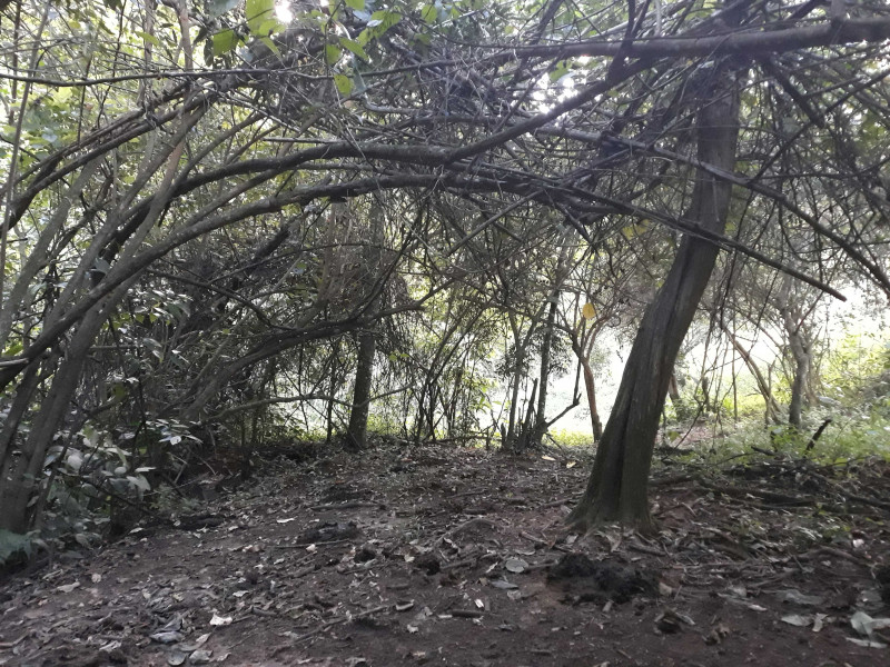 Sítio à venda CENTRO com 30000m² e 4 quartos por R$ 750.000 - 1476438536-20210402-165640.jpg