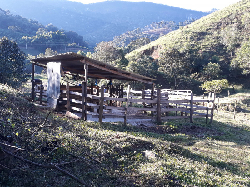 Sítio à venda CENTRO com 30000m² e 4 quartos por R$ 750.000 - 1602958428-20200429-163859.jpg