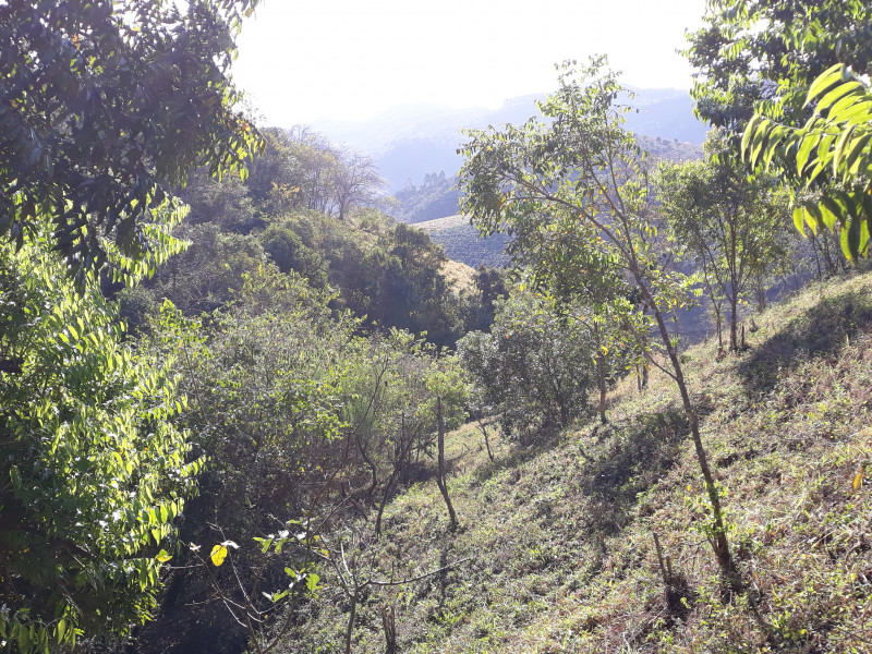 Sítio à venda CENTRO com 30000m² e 4 quartos por R$ 750.000 - 164283166-20200815-152343.jpg