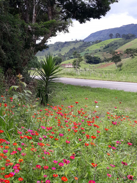 Sítio à venda CENTRO com 30000m² e 4 quartos por R$ 750.000 - 1958532554-20211208-120915.jpg