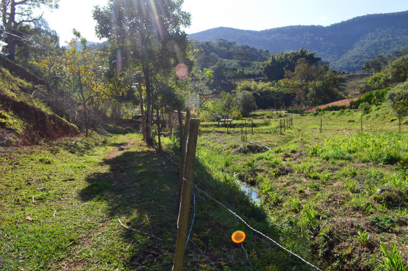 Sítio à venda CENTRO com 30000m² e 4 quartos por R$ 750.000 - 2116516628-dsc-0031.JPG