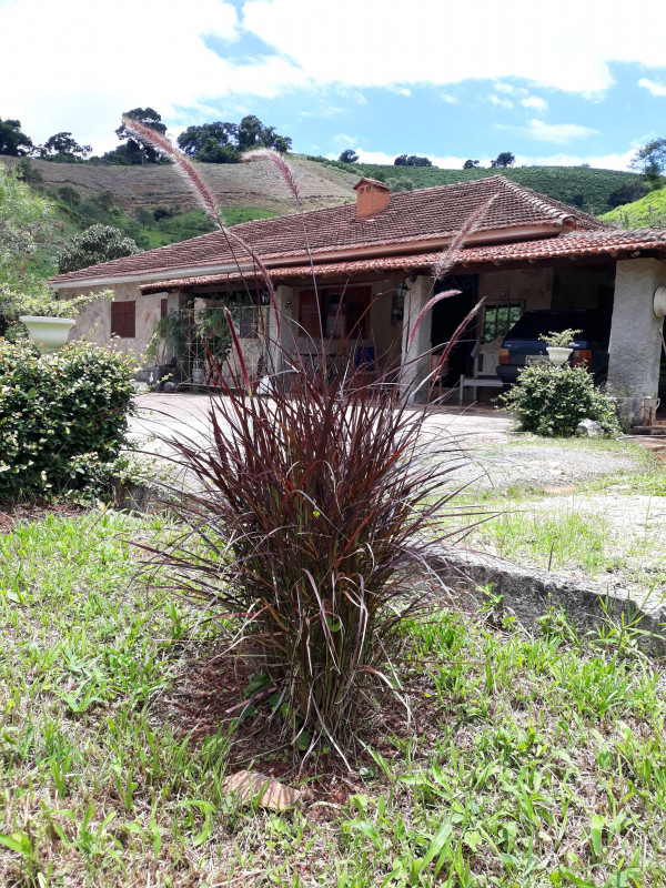 Sítio à venda CENTRO com 30000m² e 4 quartos por R$ 750.000 - 642831014-20211208-121711.jpg